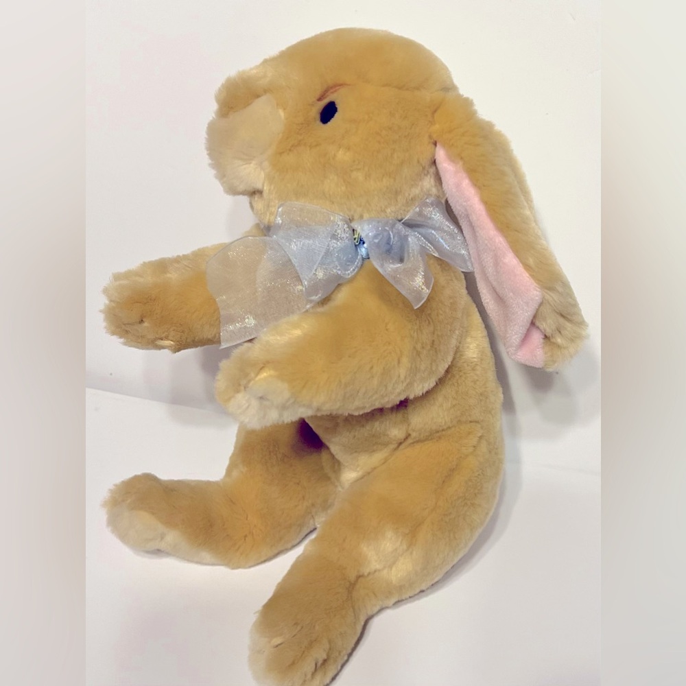 Commonwealth Bunny Rabbit - Picture 3 of 12